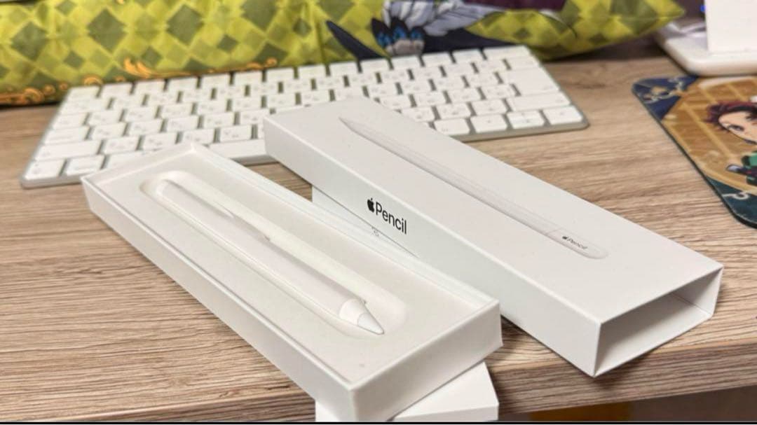 Apple Pencil ホワイト 元箱付き (USB-C)