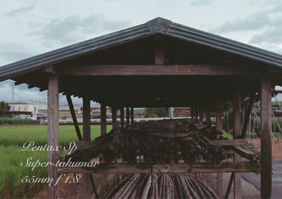 ★ブラウンベージュリザード本革外装★pentax sp ★完動＊美品＊初期保証