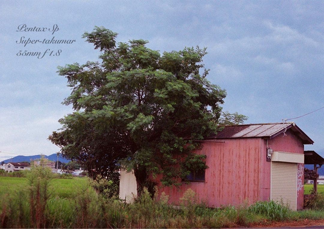 ★ブラウンベージュリザード本革外装★pentax sp ★完動＊美品＊初期保証