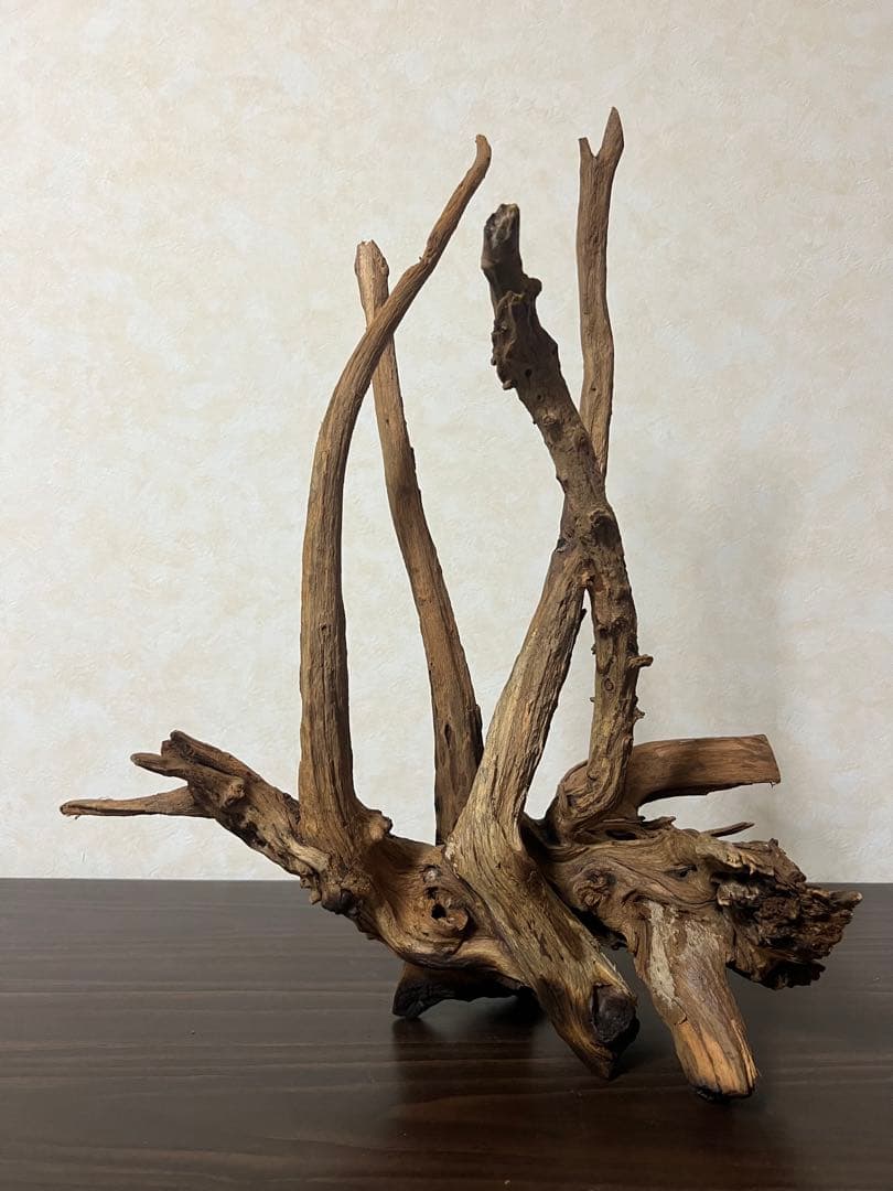 175 流木　ホーンウッド　マシンガンウッド　アクアリウム　ブランチウッド