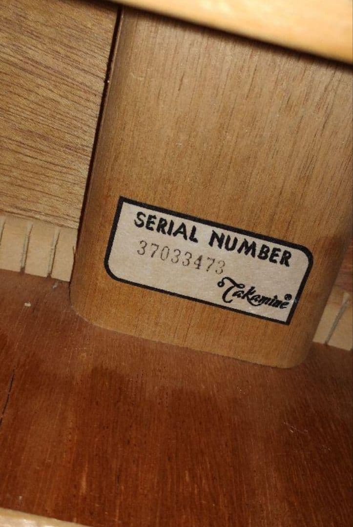 超美品 Takamine Tシリーズ（？） PU付エレアコ マットTBS