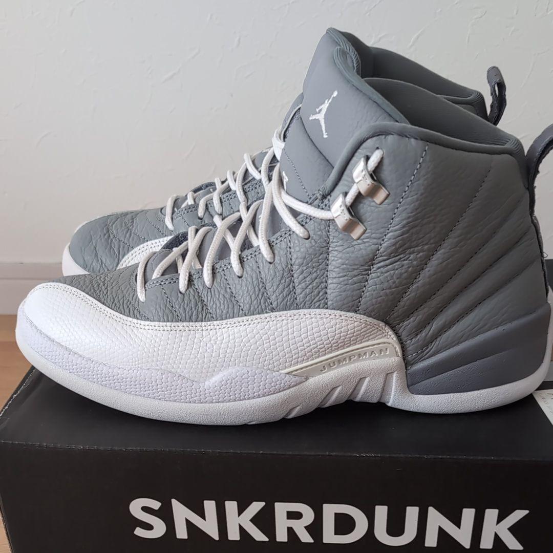 Nike Air Jordan 12 Stealth ジョーダン12 ステルス