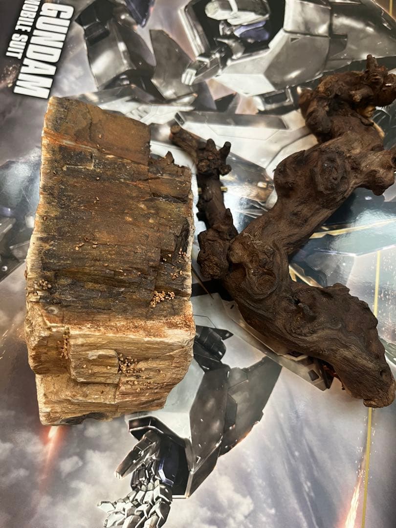 三晃商会 レプティワイルド パンテオン ブラック　6035 引取り限定