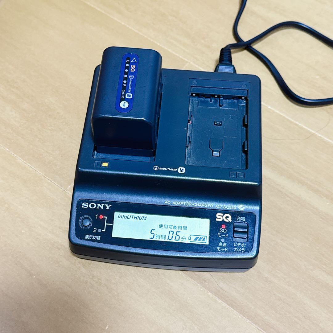 2128【希少品】SONY DCR-TRV30 Mini DV ナイトショット