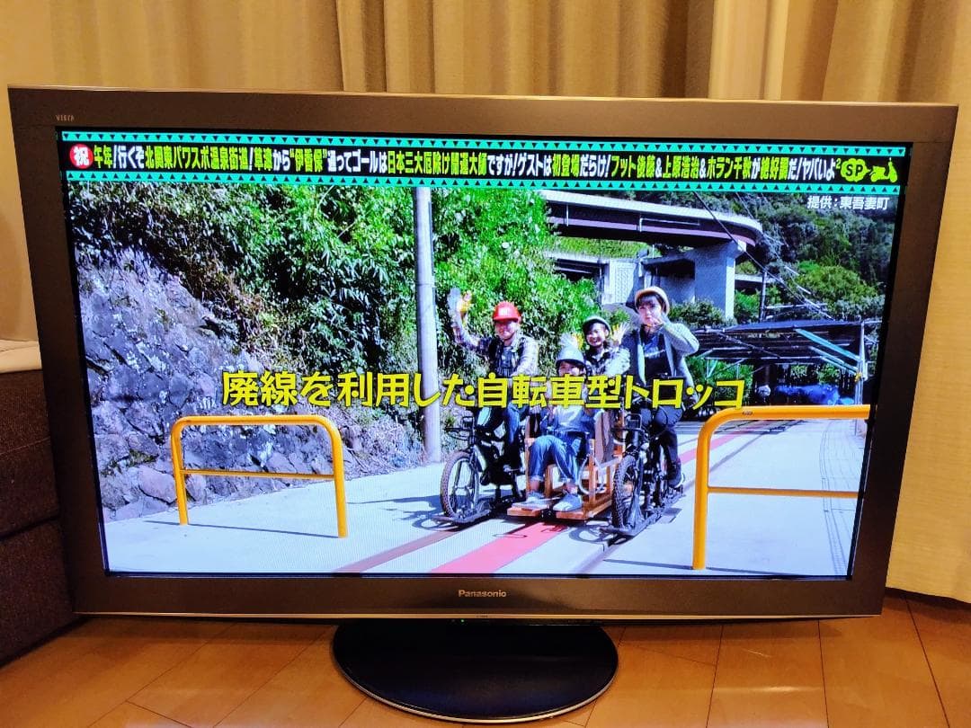 Panasonic VIERA プラズマテレビ 50インチ TH-P50V2