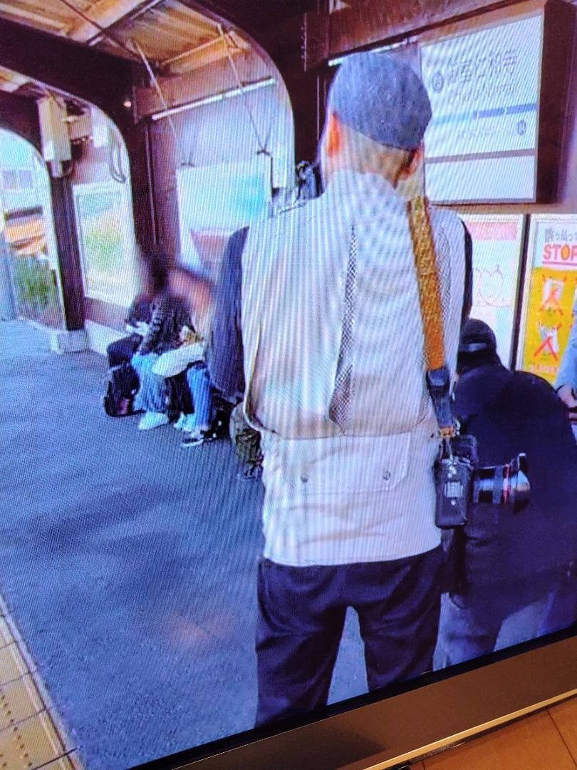 Panasonic VIERA プラズマテレビ 50インチ TH-P50V2