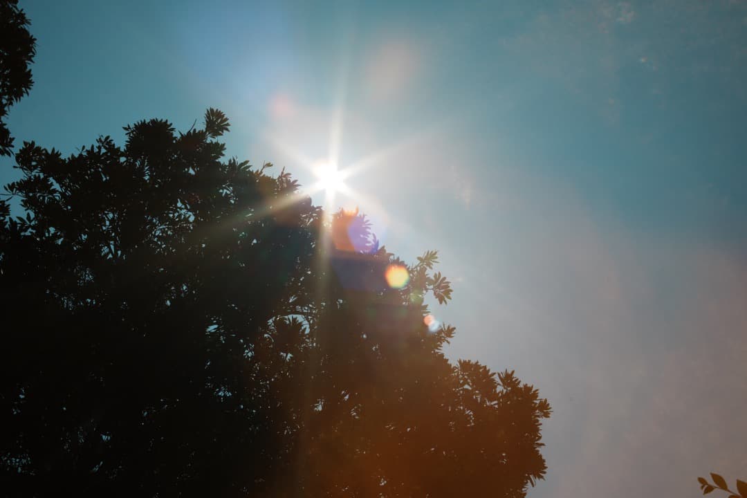 【希少8枚玉】動作◎ Super Takumar 50mm F1.4 296