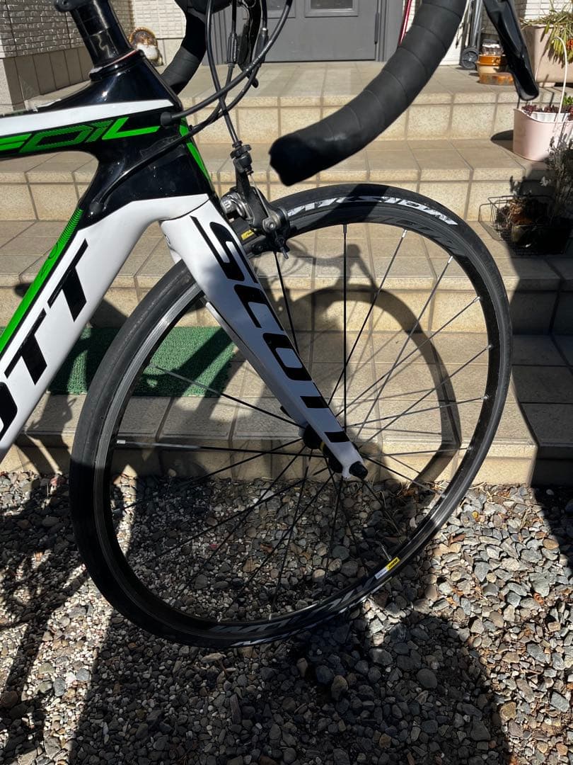 蟹ゾウ Scott フォイル20