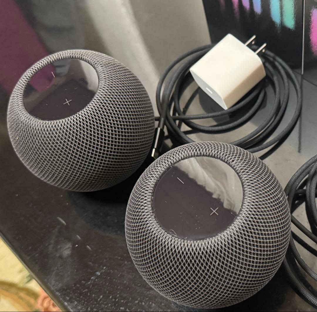 APPLE Pod Mini スペースグレイ 2個セット