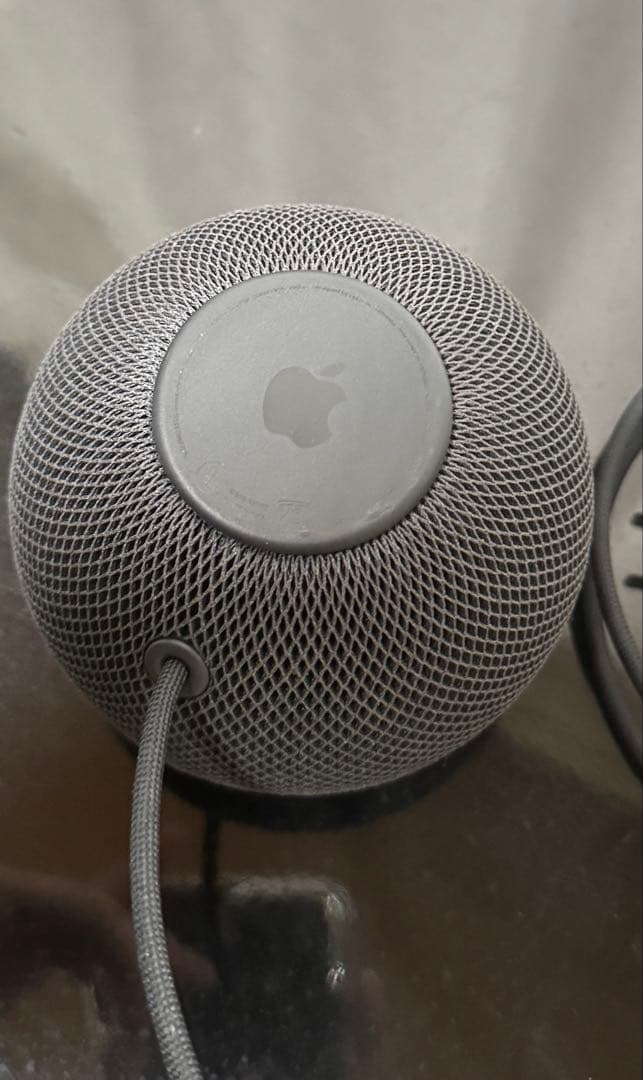 APPLE Pod Mini スペースグレイ 2個セット