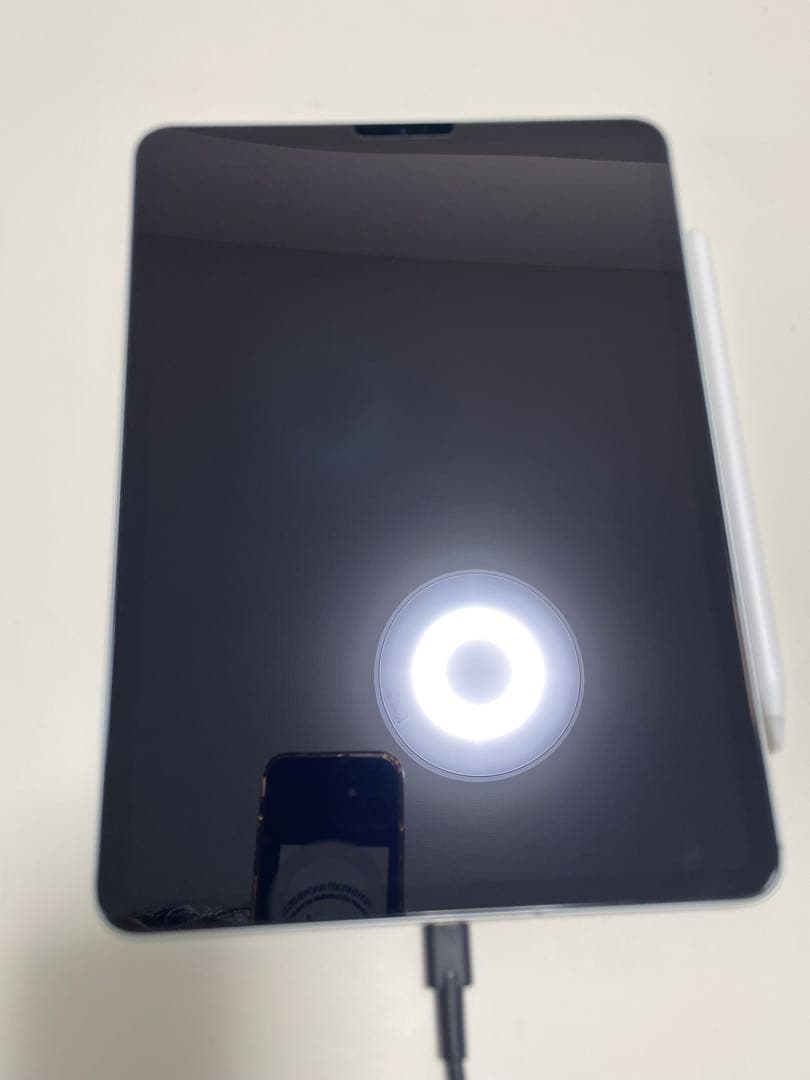 【美品】iPadPro11インチ 第1世代256GB ApplePencil付