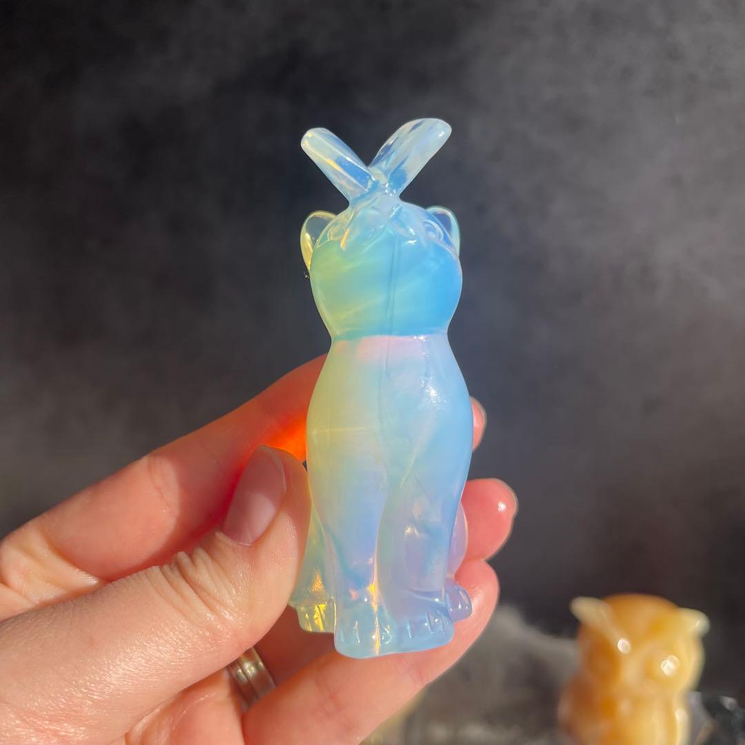 猫と蝶々 オパール