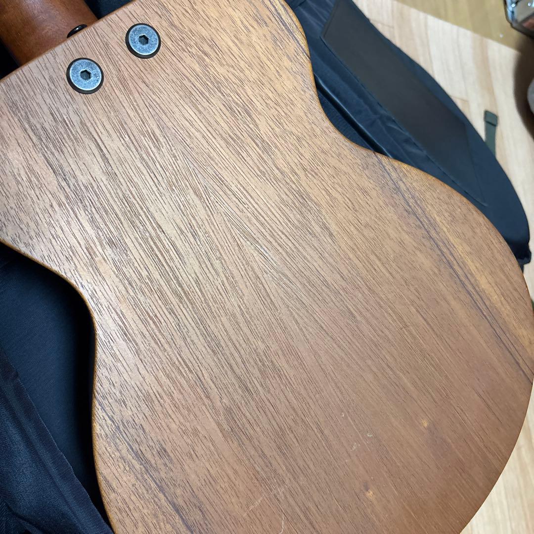 最終　レア　Tacoma P1パプース　ナスカケース付き