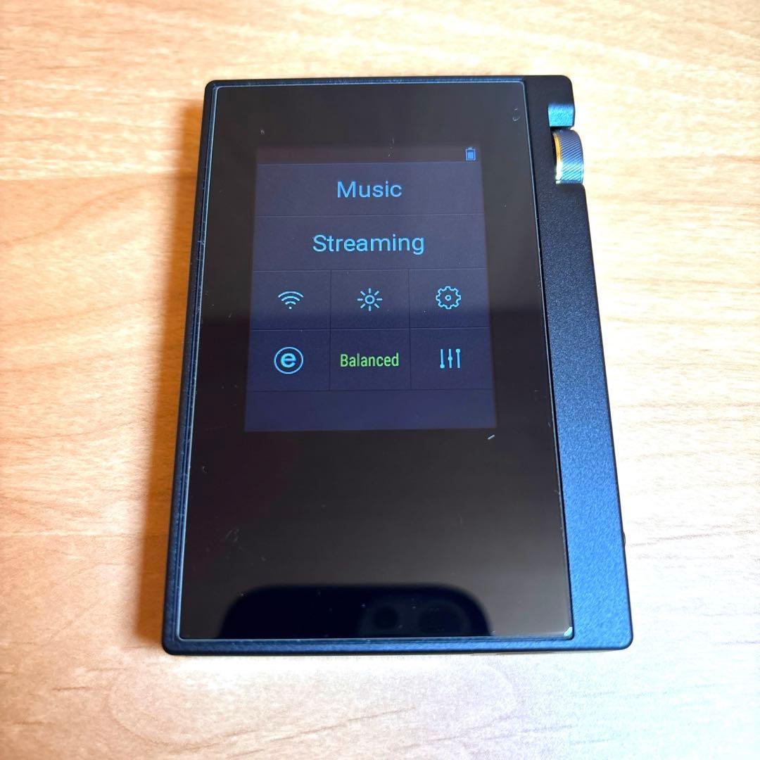 ONKYO(オンキョー) rubato DP-S1