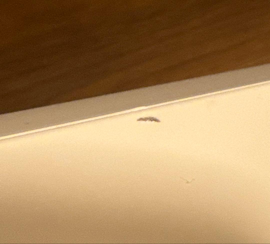 ScanSnap ix1600 ドキュメントスキャナー