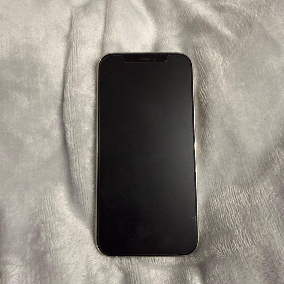 Apple iPhone 12 Pro 本体