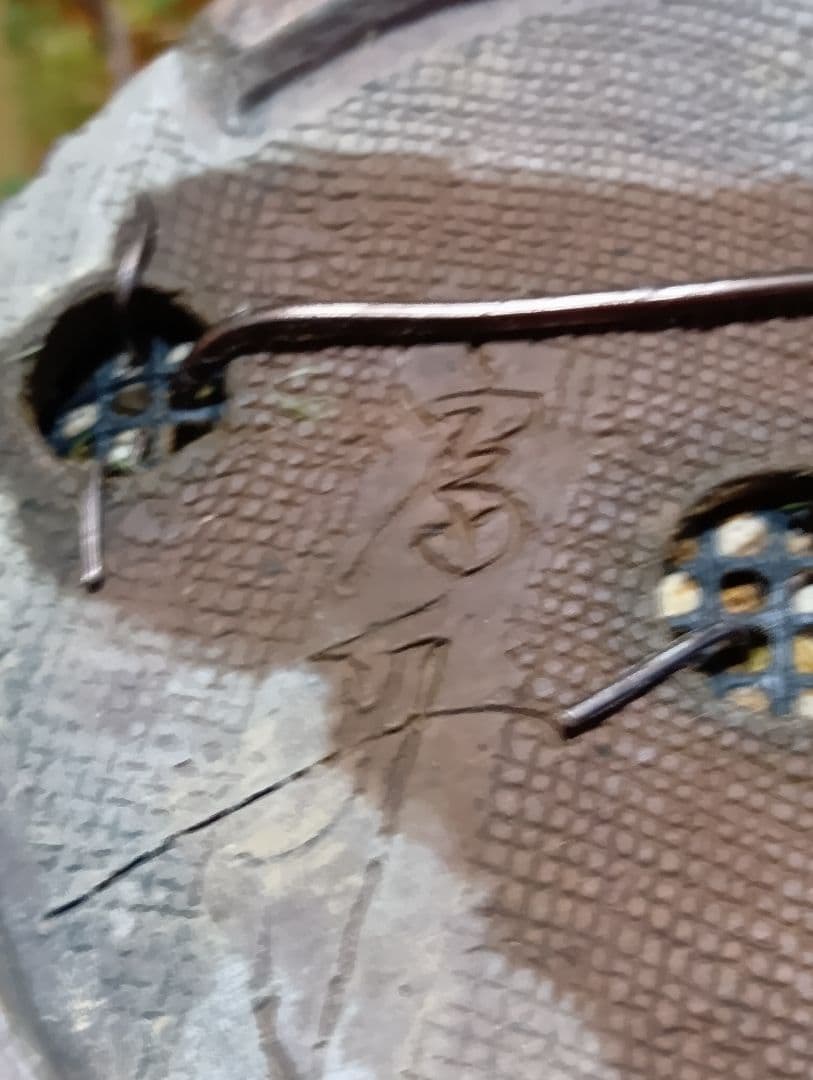 糸魚川真柏‼️値下げ‼️