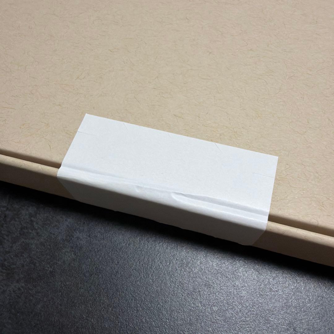 交換品新品　アップル iPad Pro 12.9インチ(第5世代)