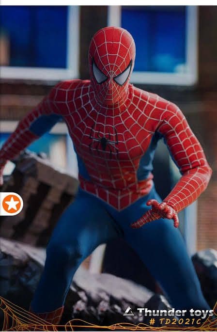 c*1様 スパイダーマン Thunder toys spider man