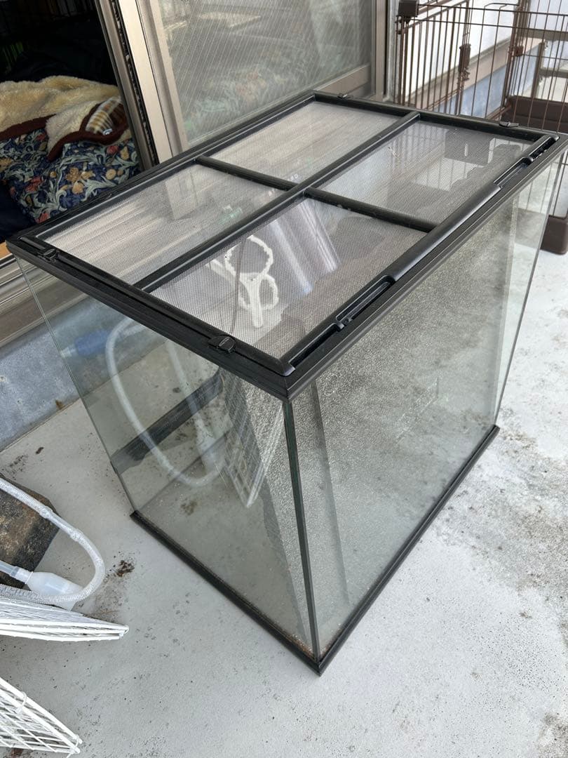 ＧＥＸ　エキゾテラ　グラステラリウム　６０６０