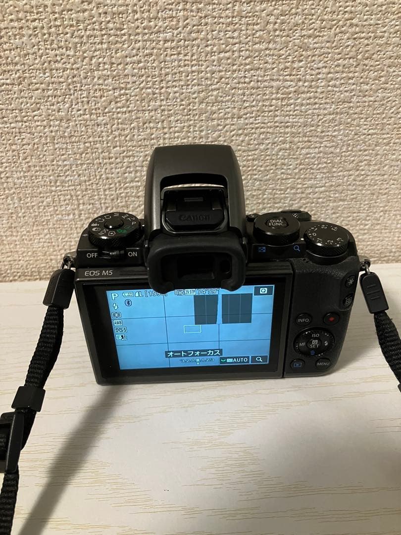 Canon EOS M5セット（レンズ2本/付属品/マウントアダプター）