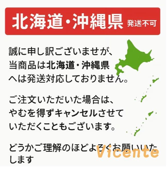 Vicente耐荷重200kgパイプベッドシングルベッド下収納組立簡単 送料無料