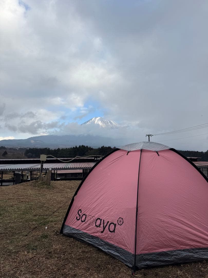 『今週限定値引き』SAMAYA2.5 [2024 Edition]