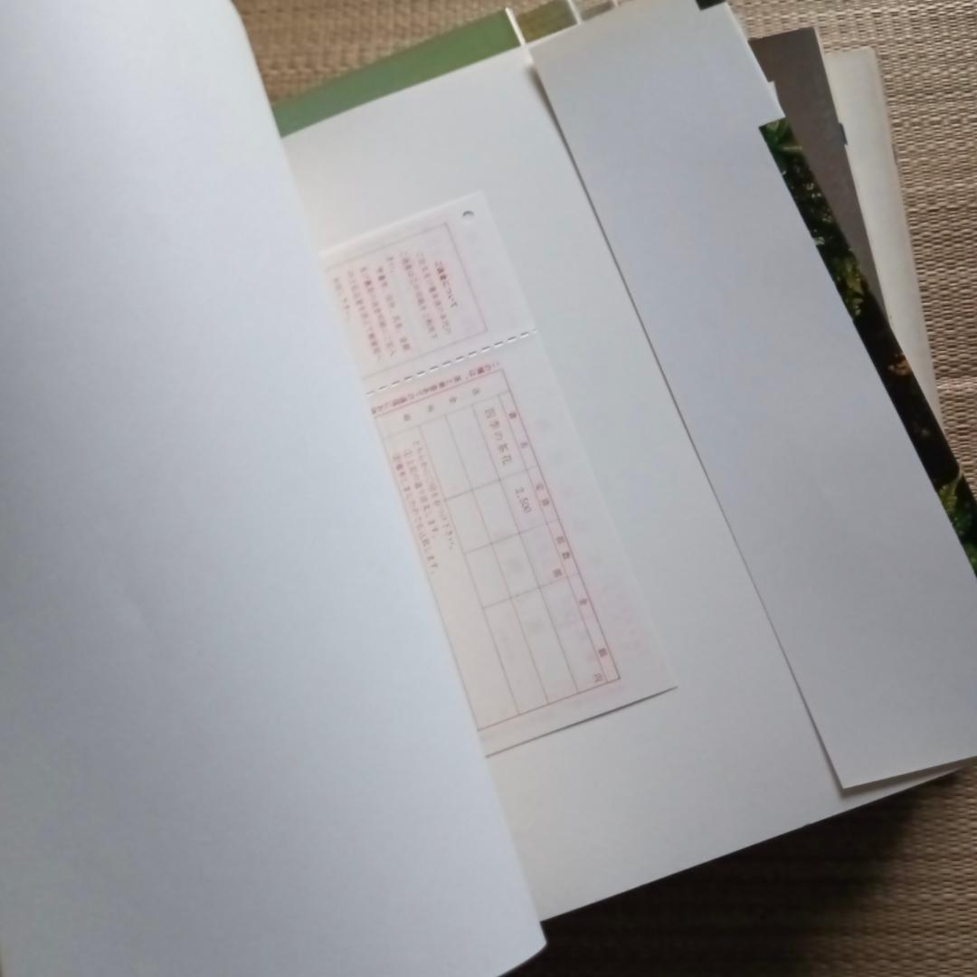 茶と美 【第1号~第8号11号セット】　茶と美舎　表千家