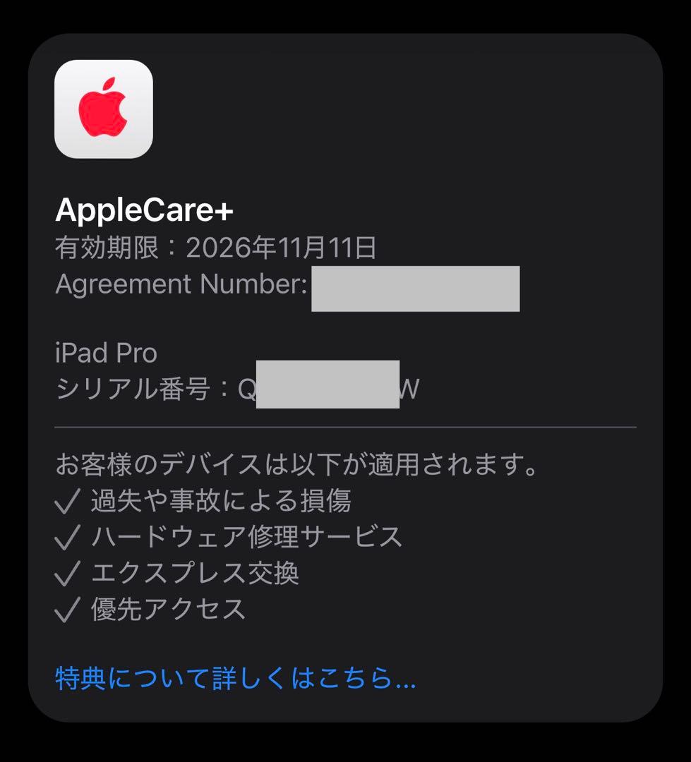 iPad Pro m4 11インチ　256GB