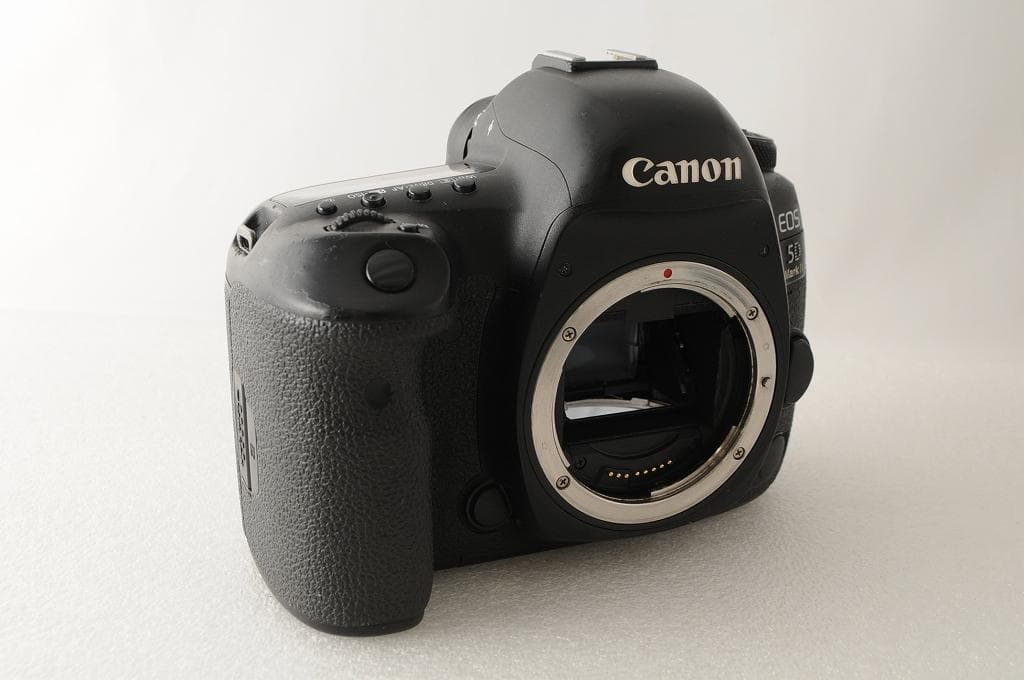 ★美品級★ Canon キヤノン 5D Mark Ⅳ