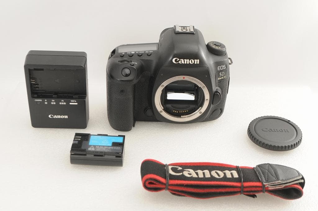 ★美品級★ Canon キヤノン 5D Mark Ⅳ