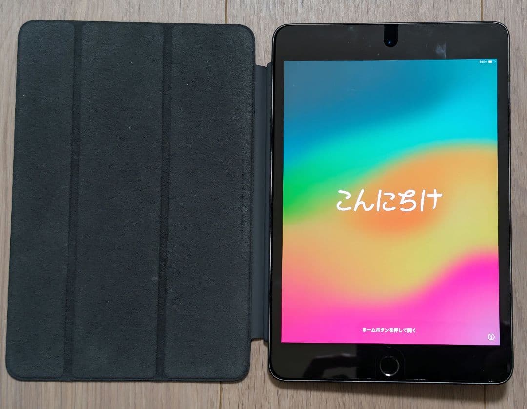 Apple iPad mini 5 256GB 充放電100回