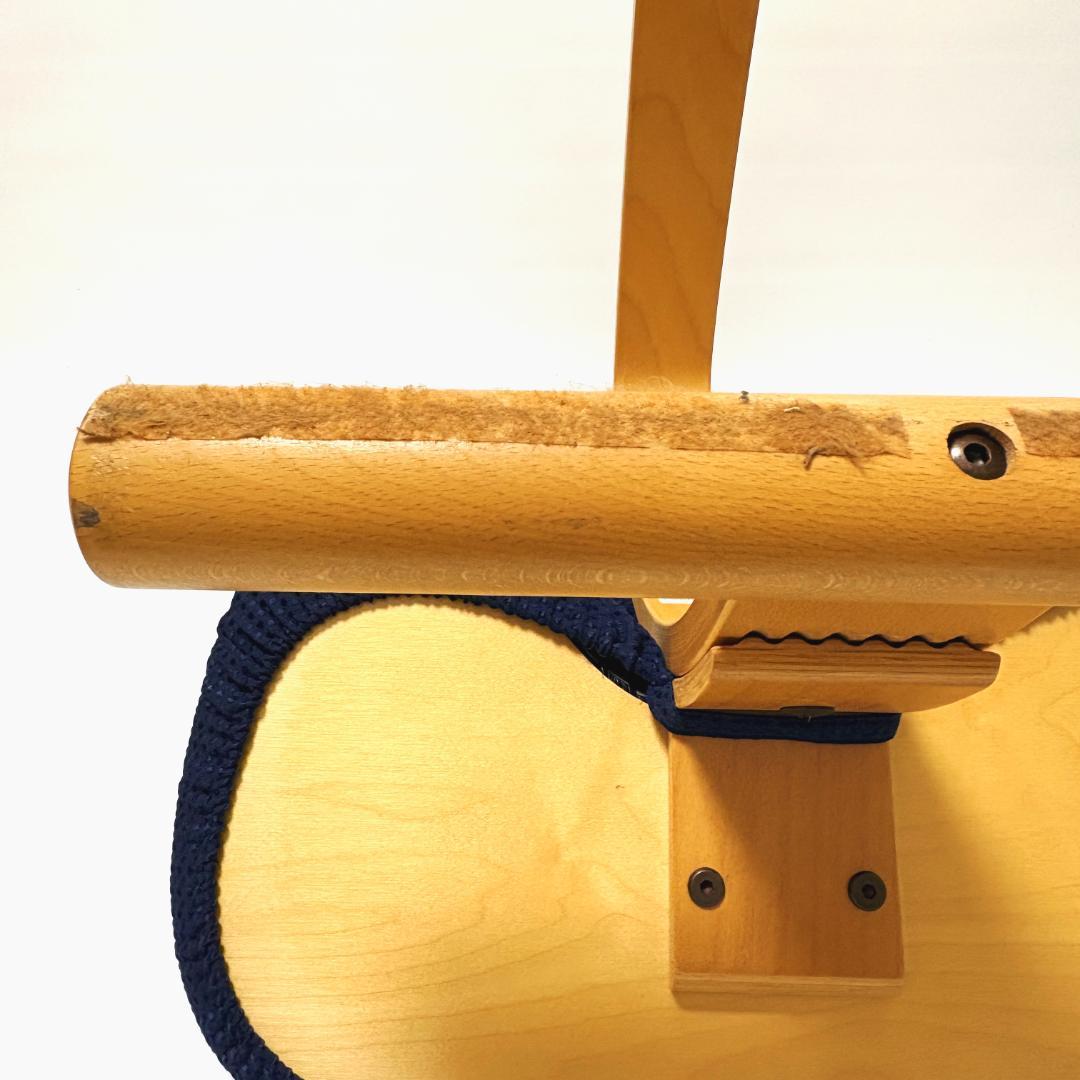 【美品】バランスイージー ネイビー 純正カバー付