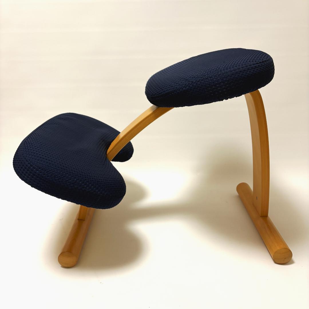 【美品】バランスイージー ネイビー 純正カバー付