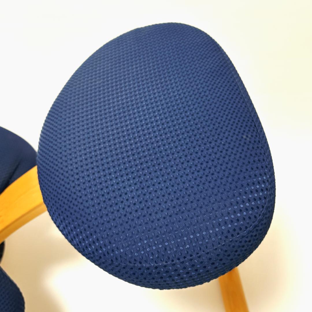 【美品】バランスイージー ネイビー 純正カバー付