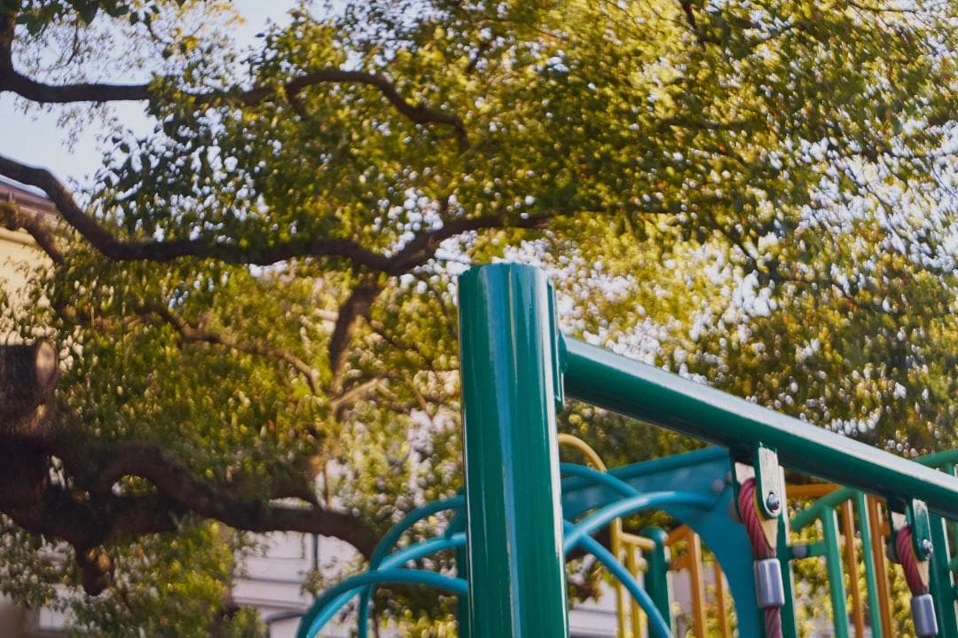 フレアが特徴 Meyer Primagon 35mm F4.5 M42改造