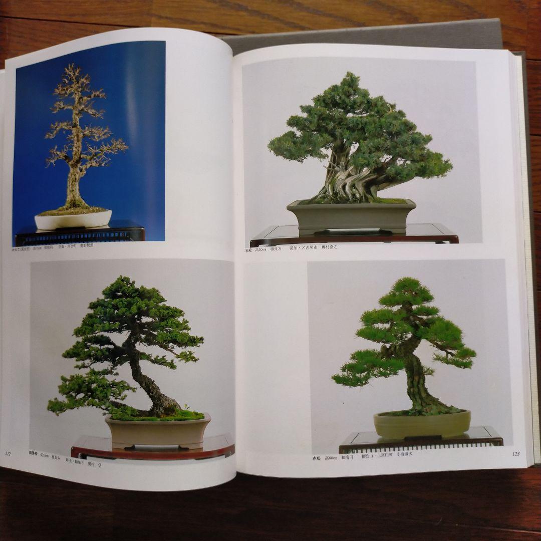 日本盆栽大観展