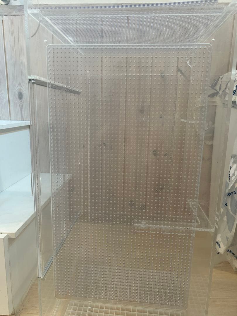 モモンガ　ゲージ　小動物　フクロウモモンガ