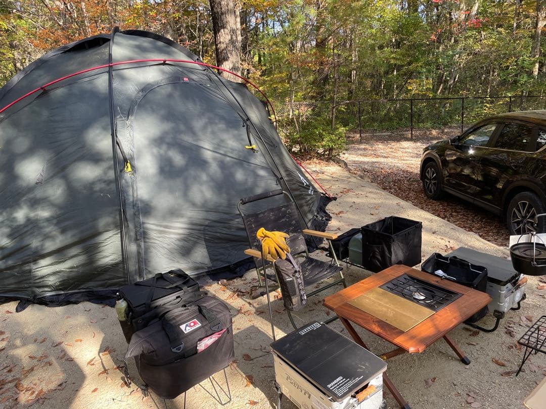 NORAsフレーム　ノラズ　別途専用ケース付き