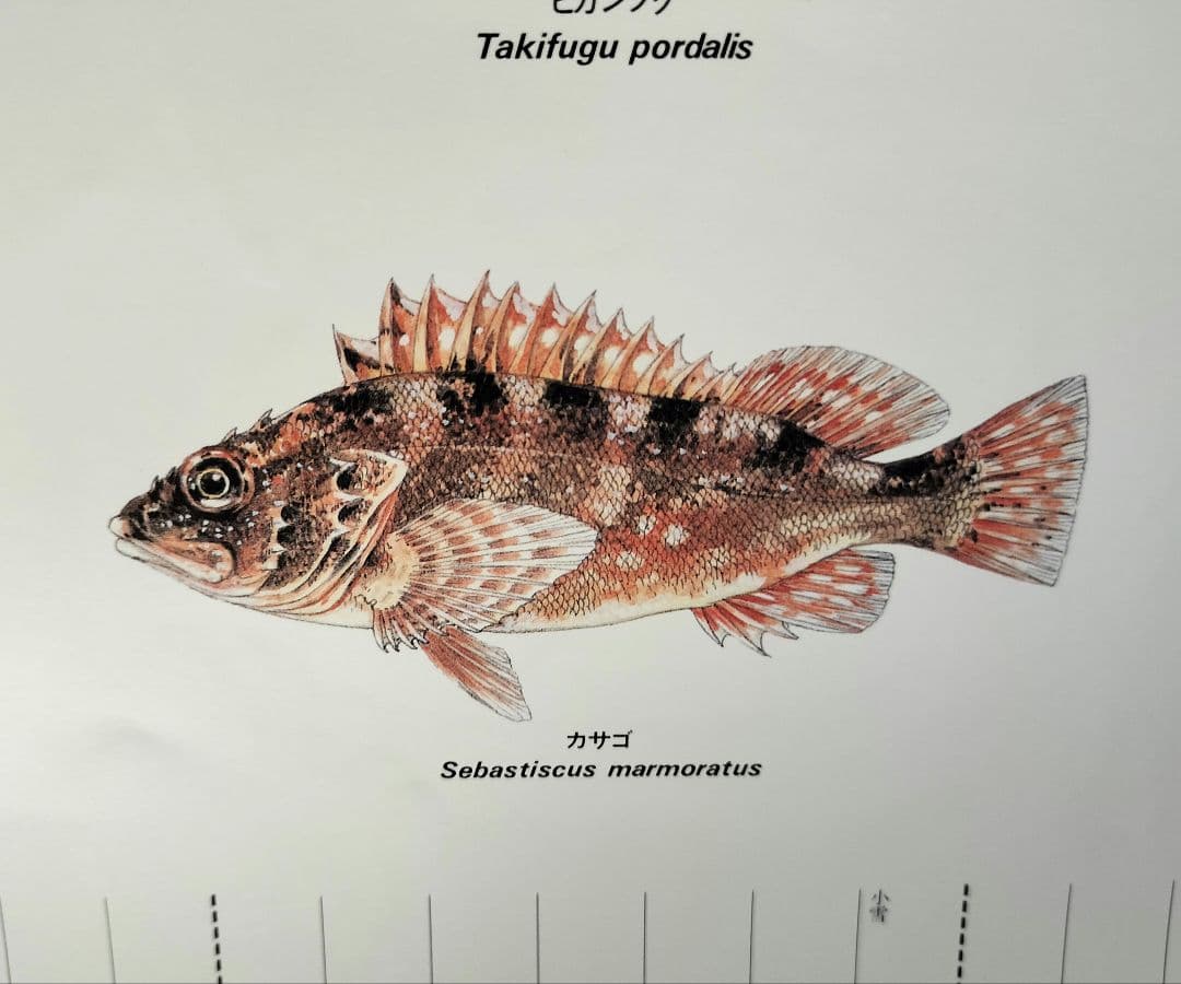 BE-PAL ビーパル カレンダー 新品未使用 1991年動物編　ヴィンテージ