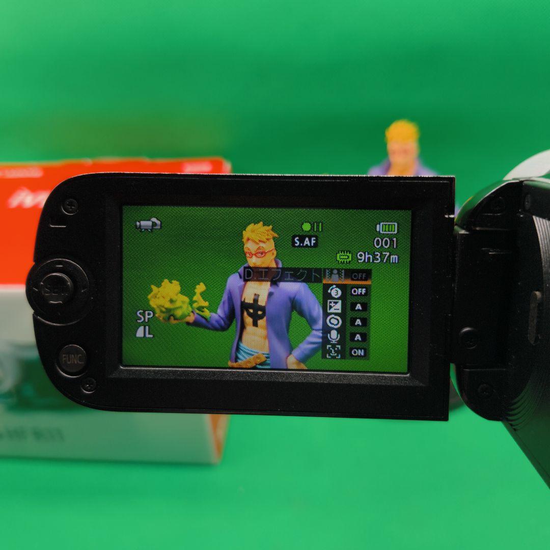 【動作確認済】Canon キヤノン iVIS HF R11 ビデオカメラ