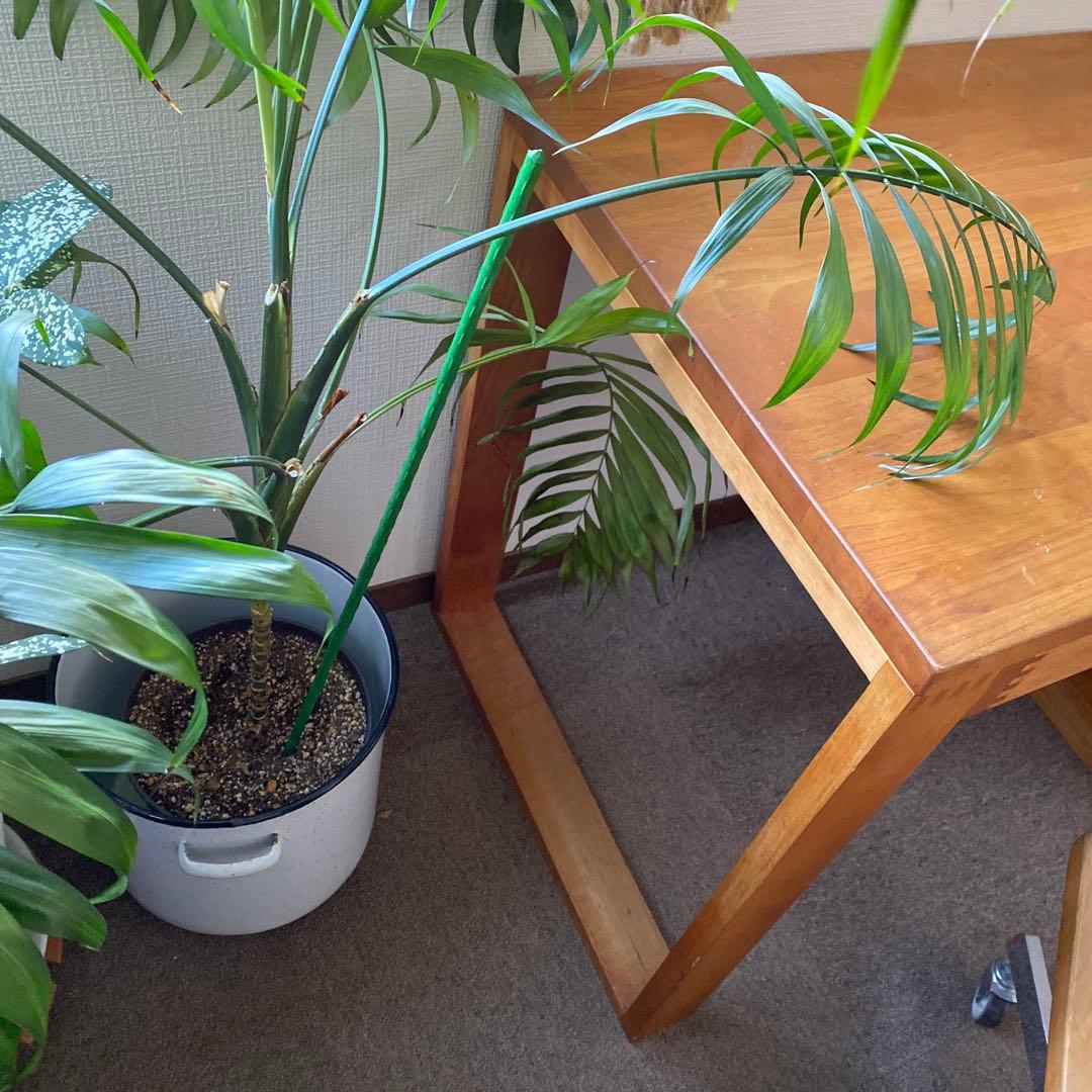 イクスス ikususu 片袖デスク アルダー材無垢 書斎デスク　机