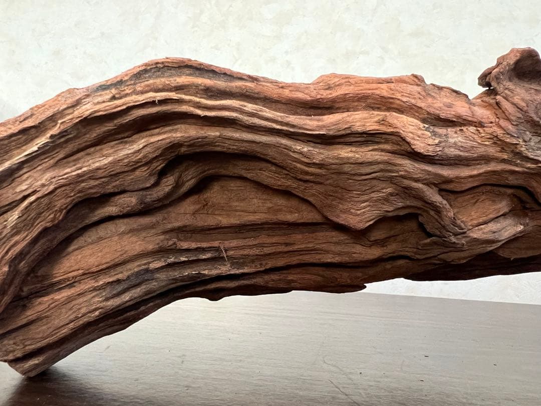 HX-026 流木　ホーンウッド　マシンガンウッド　アクアリウム　ブランチウッド