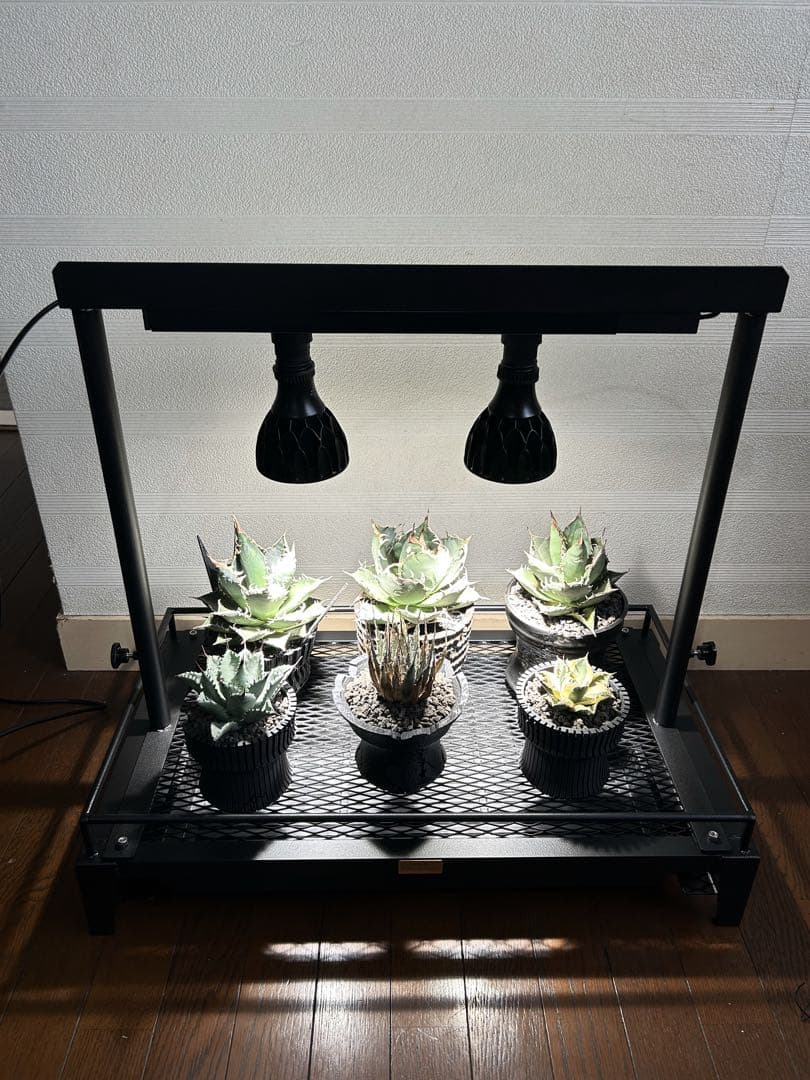 ☆送料込み☆植物棚スターターセット即購入OK 植物育成　ボタニカル　アガベ　塊根