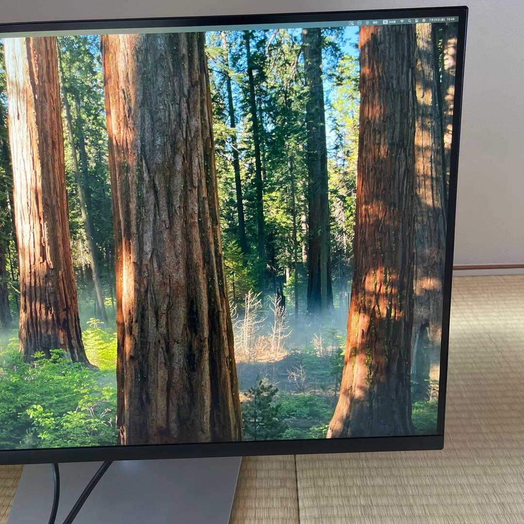 Dell 32インチ4K USB-Cハブ モニター P3223QE 保証付　32