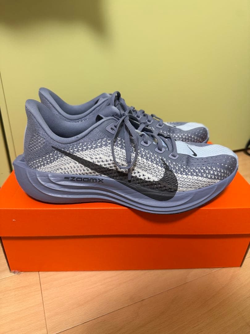 ナイキ　ペガサス　プラス　25cm