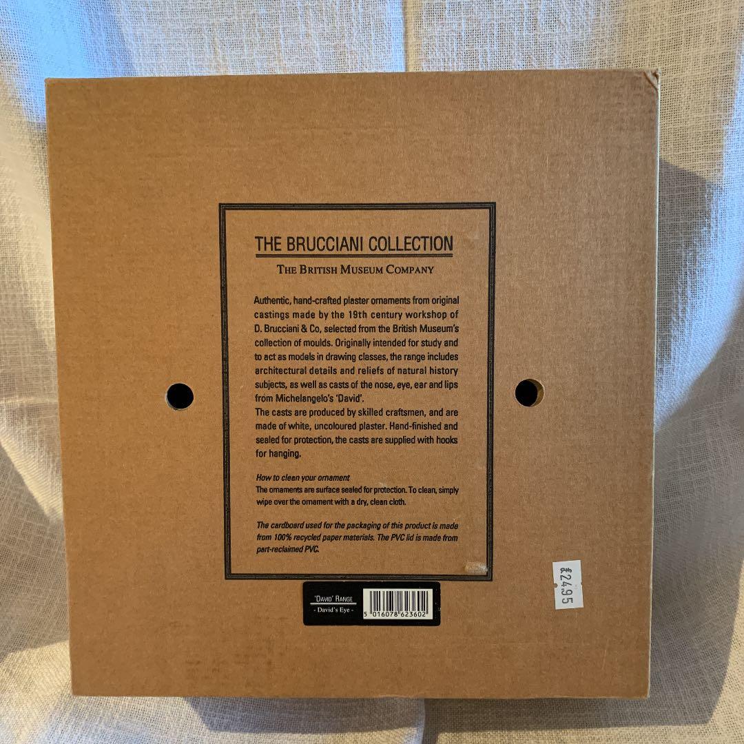 大セール 特大20センチ博物館 The Brucciani Collection