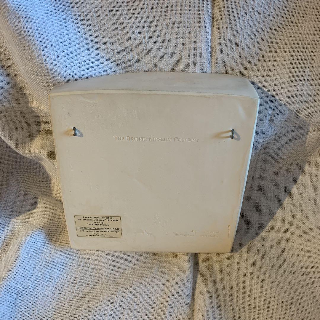 大セール 特大20センチ博物館 The Brucciani Collection