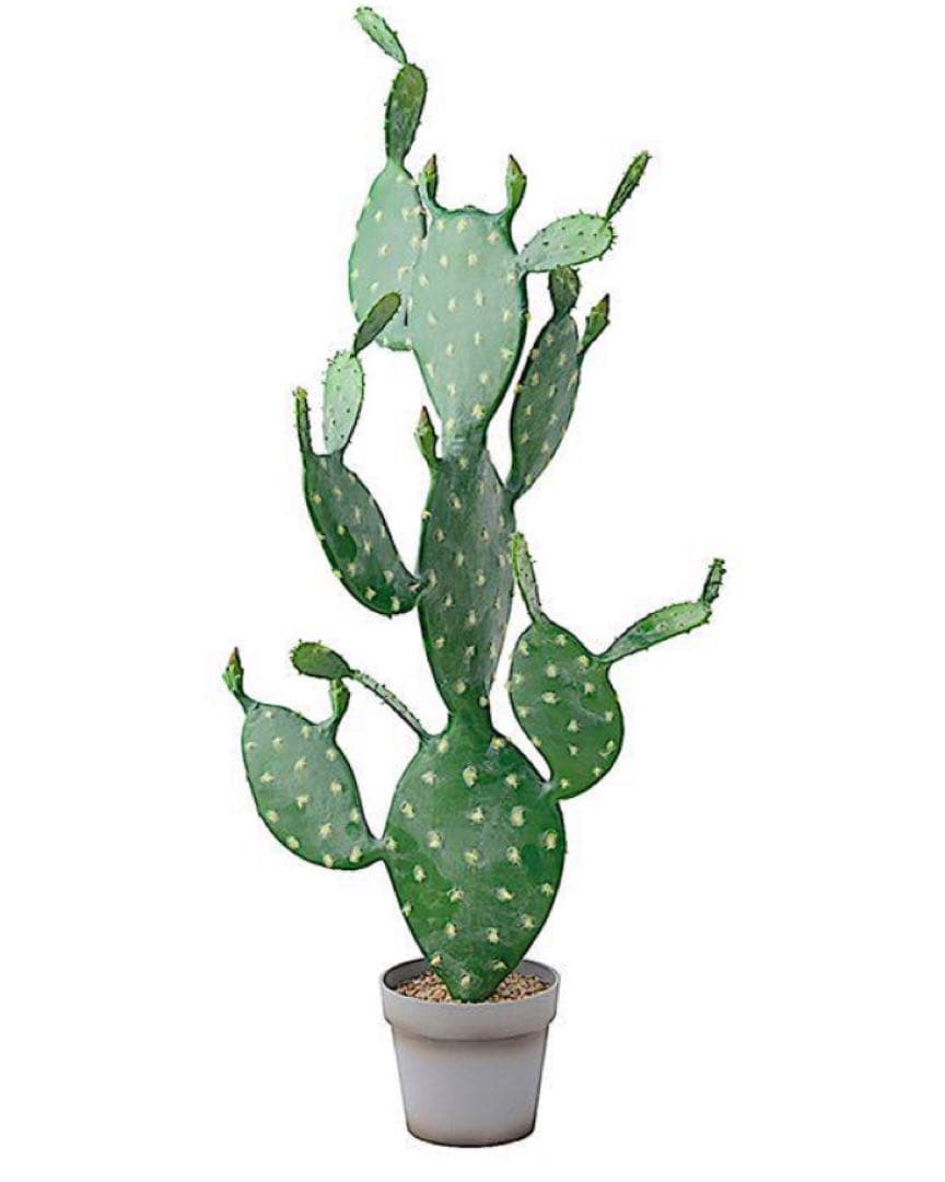 光触媒　人工観葉植物　ウォールグリーン　フェイクグリーン　ウチワサボテンz