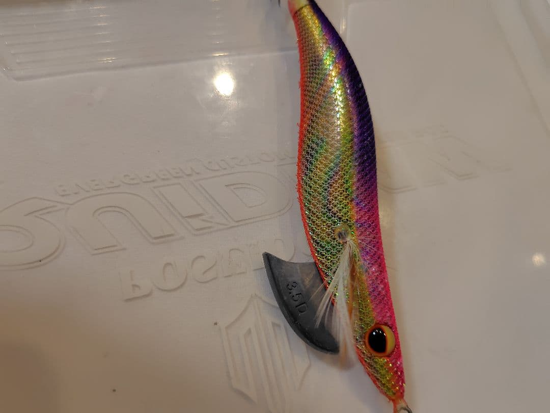 1月 限定価格⚠️‼️値下げ、エバーグリーン　エギ番長　エギング引退セット‼️